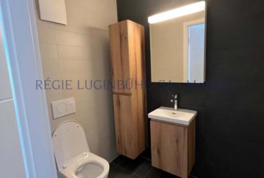 Grand appartement de 5.5 pièces dans immeuble en PPE