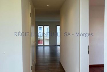 Grand appartement de 5.5 pièces dans immeuble en PPE