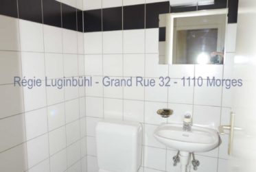 A deux pas de la gare, grand 3.5 pièces dans les combles