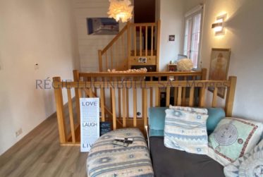 Bel appartement de 4.5 pièces en triplex au rez-de-chaussée