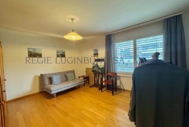 Grand appartement moderne de 3.5 pièces