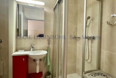 Grand appartement moderne de 3.5 pièces
